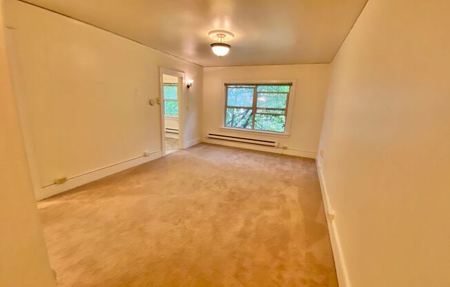 Studio, 1 bath, 425 sqft, $1,150, Unit 105