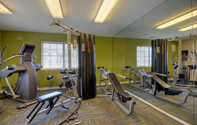 Fitness Center with Mirrors, Green Wall, Treadmills, Ellipticals, and Carpet