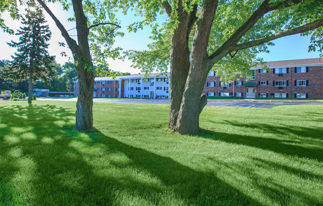 a lawn with two trees in front of a building