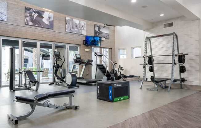 A gym with a variety of equipment including a weight bench, a treadmill, and a squat rack.