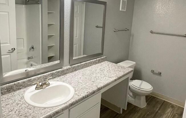 a double sink and large mirror