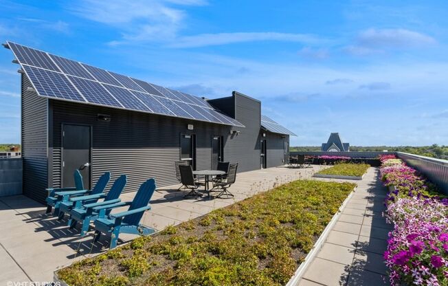 Studio, 1 bath, 266 sqft, $1,130, Unit #202