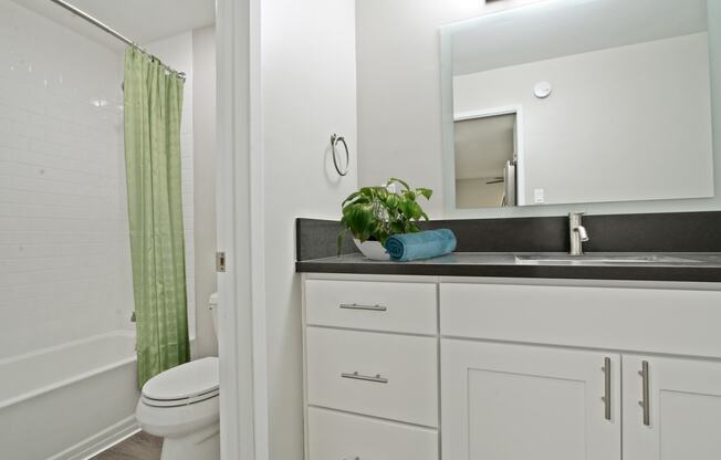 Vanity Area with a gray quartz countertops, bathroom with hot tub and shower combo on the left