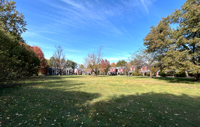 Nichols Meadows