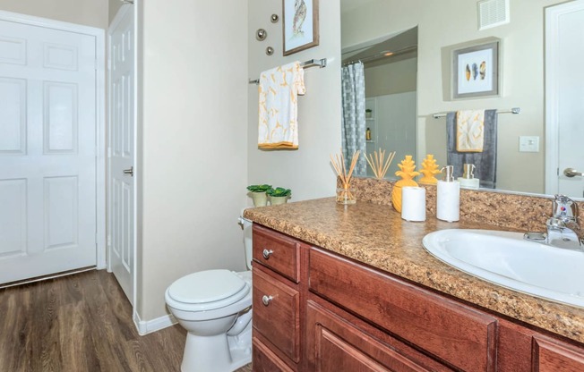 Custom Look Bathroom at The Preserve by Picerne, Nevada, 89086