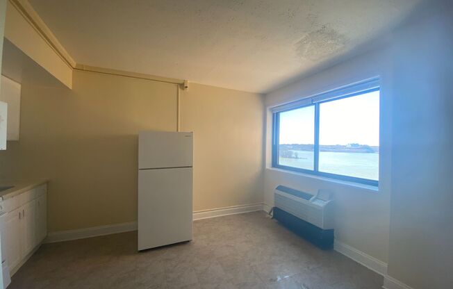Studio, 1 bath, $795, Unit 1115