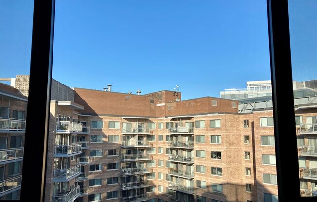 Studio, 1 bath, 440 sqft, $2,400, Unit 0916