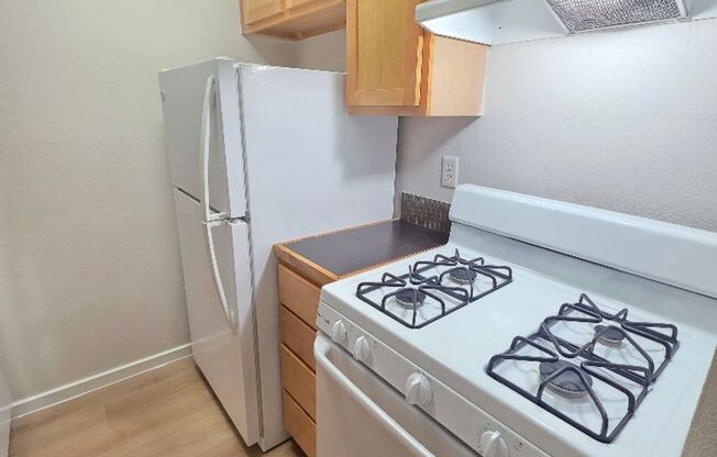 1 bed, 1 bath, 700 sqft, $999, Unit ELP2202-142