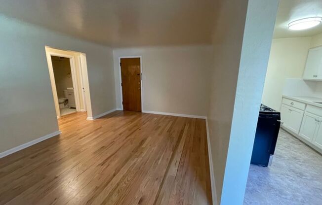 Fully Updated and Pet Friendly Capitol Hill Apartment