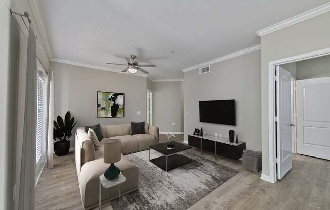 A living room with a couch, a chair, a coffee table, a television, and a rug.