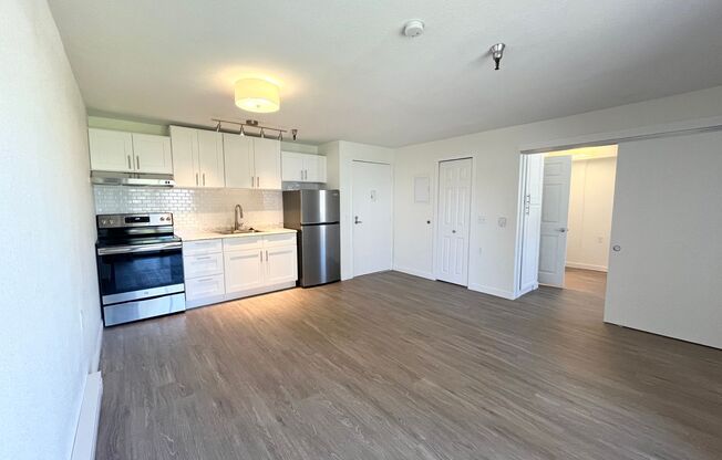 1 bed, 1 bath, 480 sqft, $1,395, Unit 302