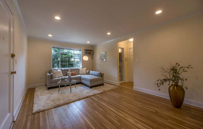 1 bed, 1 bath, 601 sqft, $2,995