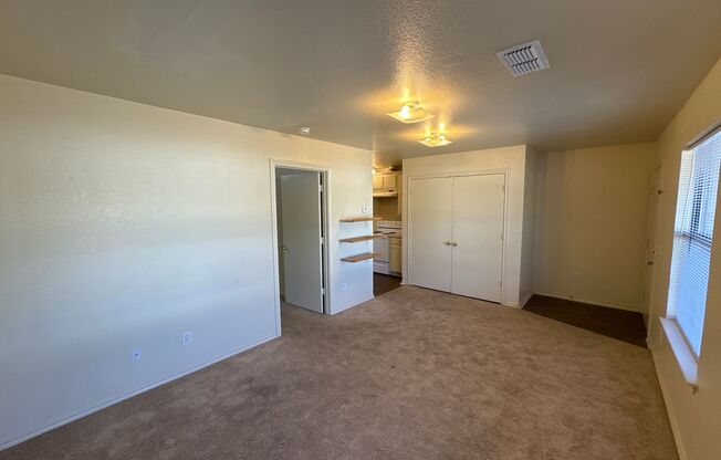 1 bed, 1 bath, 357 sqft, $975, Unit Unit 5