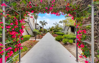 a walkway with pink flowers on both sides of it