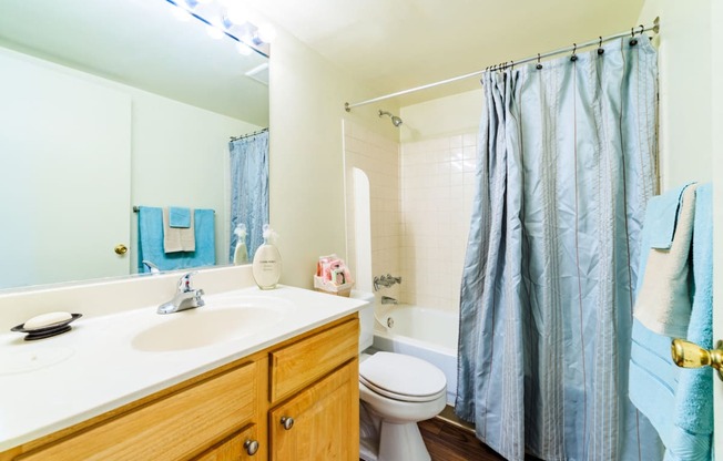 Woodscape Apartments Newport News, VA Bathroom Interior