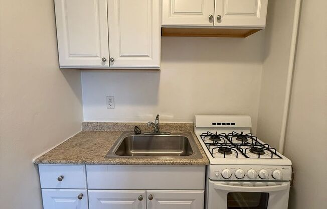 Studio, 1 bath, 487 sqft, $1,250, Unit Fifth 102