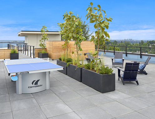Studio, 1 bath, 355 sqft, $1,297, Unit 312