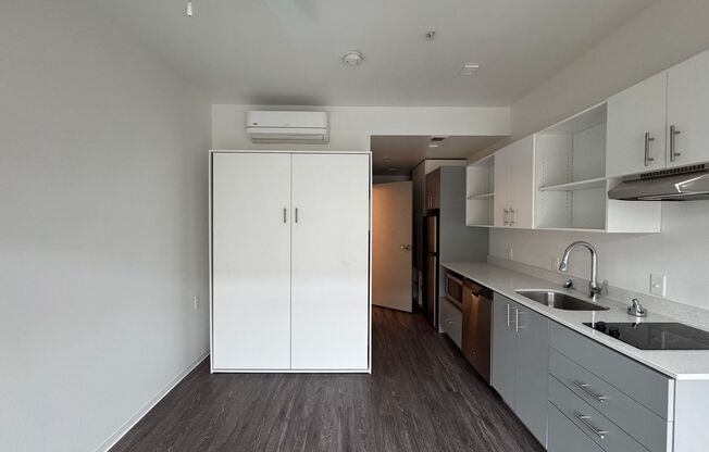 Studio, 1 bath, 226 sqft, $1,025, Unit 517