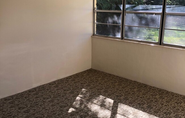 2BR Dade City Apt. Close to PHCC NO APPLICATION FEE! Water, Sewer Trash Inc