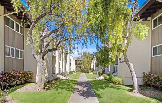 a sidewalk lined with trees in front of apartment buildings