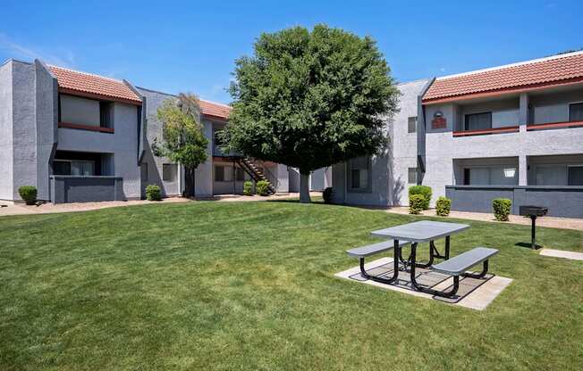 Picnic Table and Grill Area