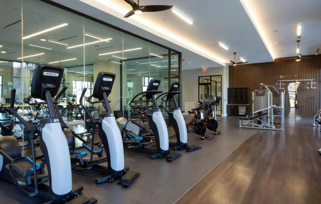 Studio Featuring Cardio Machines and Weights