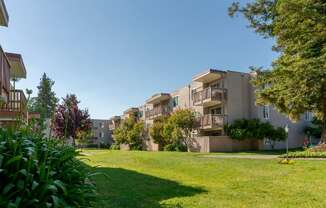A grassy area in front of apartment buildings.