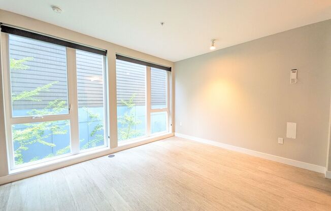 1 bed, 1 bath, 499 sqft, $1,485, Unit 302