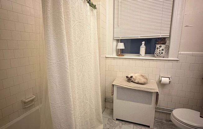 2 beds, 1 bath, 750 sqft, $2,950, Unit 6