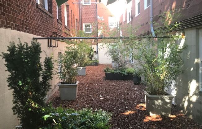 Studio, 1 bath, 340 sqft, $1,240, Unit 205