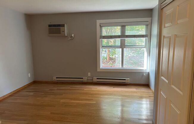 Studio, 1 bath, 350 sqft, $1,025, Unit Unit 103