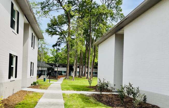 a walkway between two white buildings with grass and trees