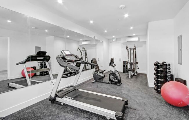 Studio, 1 bath, 445 sqft, $1,845, Unit 202