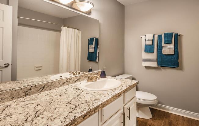 SLEEK BATHROOM DESIGN