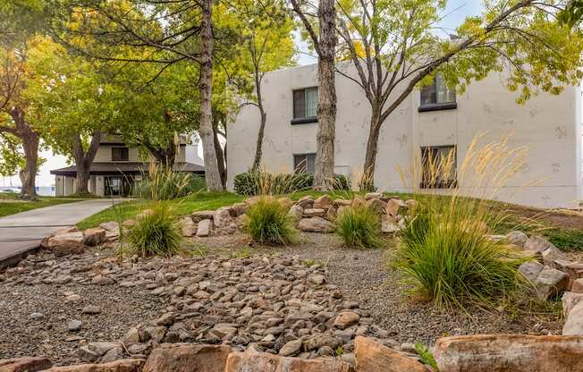 a yard with rocks and trees in front of a building