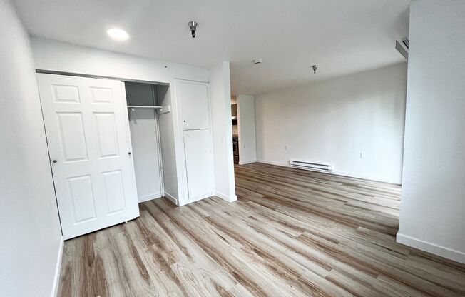 Studio, 1 bath, 480 sqft, $1,495, Unit 218
