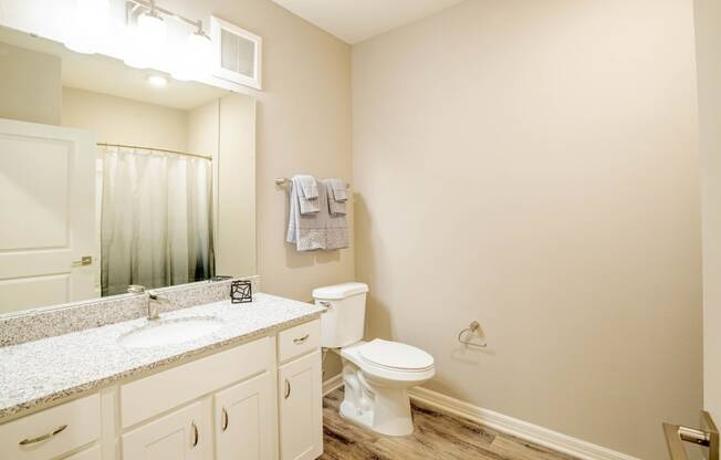 Bathroom with a toilet, mirror and sink at Trillium apartments in Melbourne fl