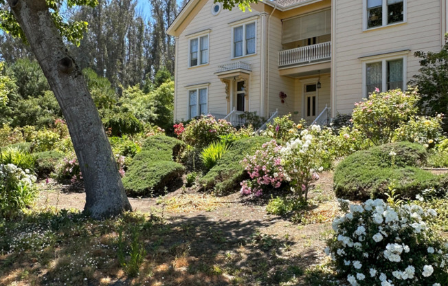 3 Bedroom, 3 Bathroom Ranch Home in Petaluma