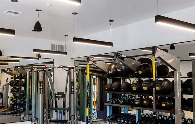 Weight Lifting at Eleanor H16 Apartments