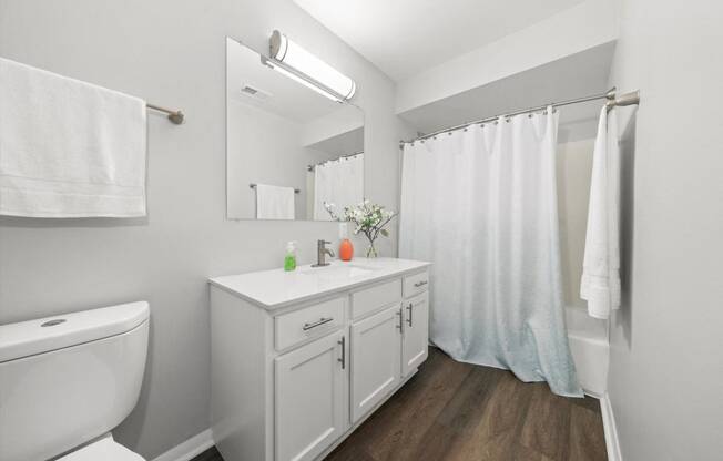 a bathroom with a sink toilet and a shower