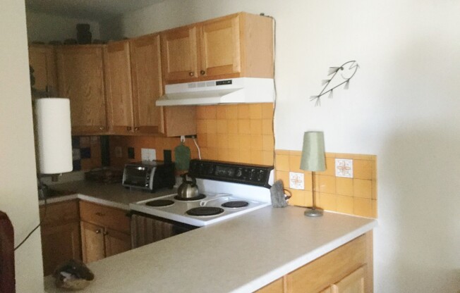Spacious Modern Condo in Gunbarrel