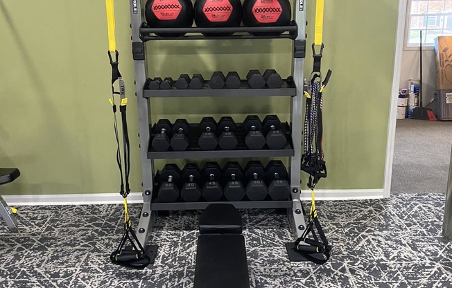 a gym with a ball and weights on a rack