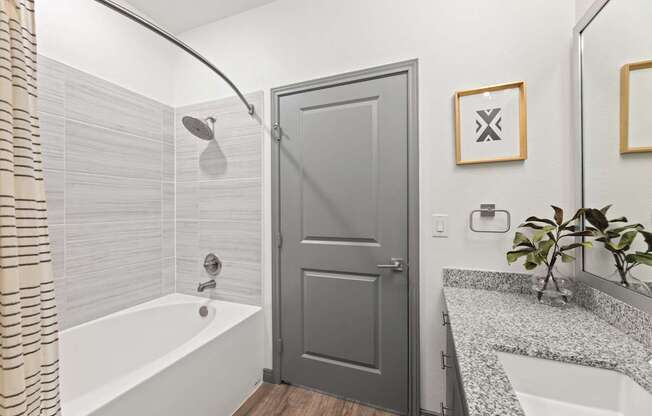 A bathroom with a white tub, grey door and a plant.