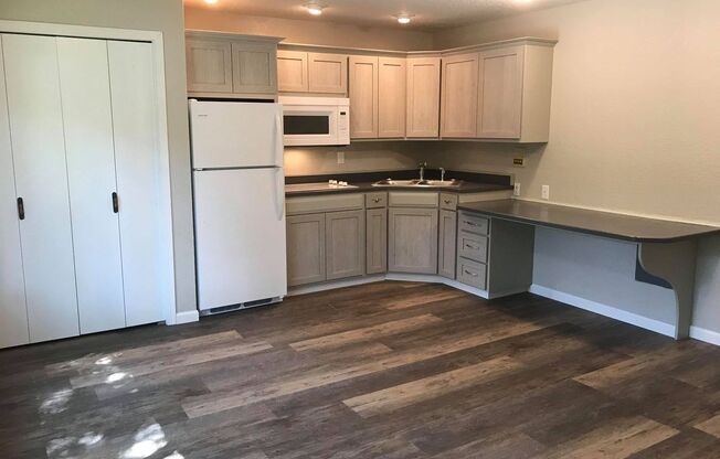 Studio, 1 bath, 450 sqft, $990, Unit 1818-315