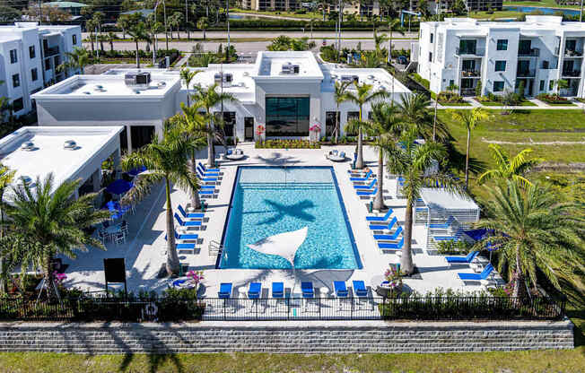 A large swimming pool surrounded by palm trees and lounge chairs.