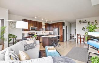 A modern living room here at Blue and Lime showcasing light wood flooring, a plush sofa with blue accent pillows, and a low-profile TV console set against a bold blue accent wall. Large sliding glass doors with vertical blinds open to a private balcony, allowing natural light to fill the space and highlight the clean, contemporary finishes.