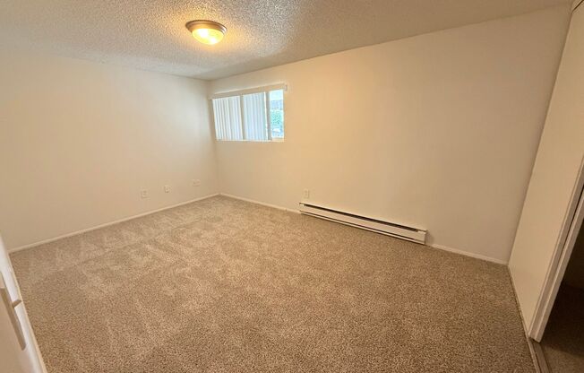 View at the Lake I | New Management + Specials | Patio, Parking & On-Site Laundry