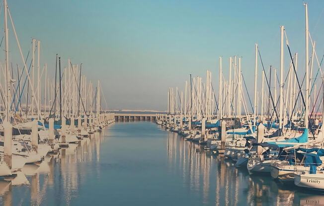 Marina