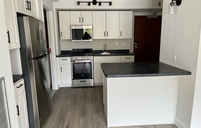 1 bed, 1 bath, 545 sqft, $1,900, Unit 425