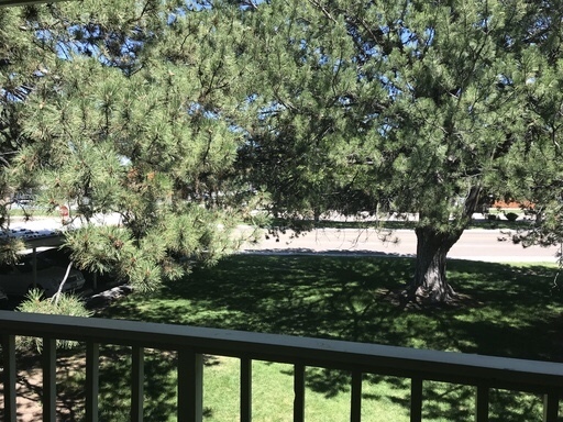 2 beds, 1 bath, 950 sqft, $1,125, Unit Unit 7
